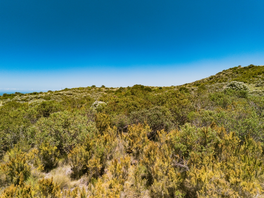 0 Bedroom Property for Sale in Pezula Private Estate Western Cape